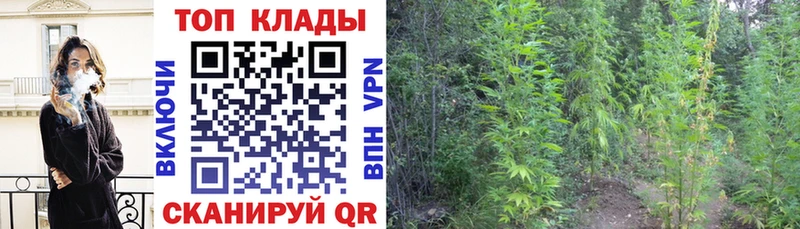 Купить Codein  Каннабис  Кокаин  СОЛЬ  БУТИРАТ  МЕФ  Гашиш  Пестово